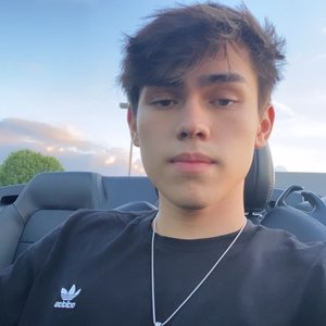 P. Louie 的头像