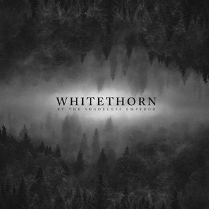 Whitethorn