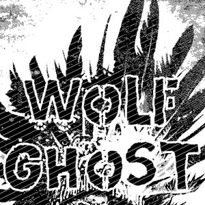 Wolf Ghost 的头像