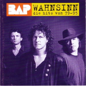 Wahnsinn (Die Hits von 79-95)