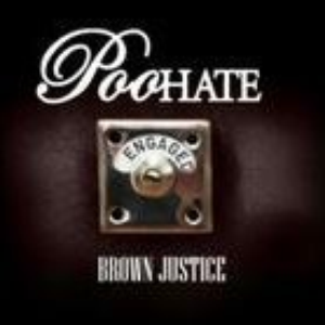 Brown Justice cover