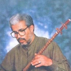 Jalaleddin Mohammadian 的头像