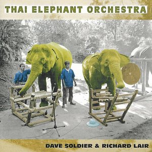 “Thai Elephant Orchestra”的封面