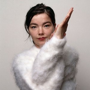 'Björk' için resim