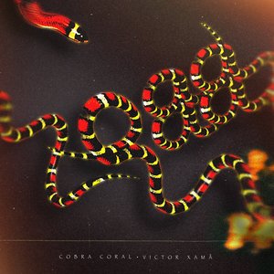 Cobra Coral