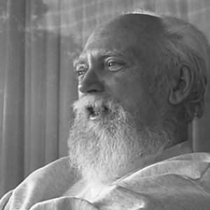 Robert Anton Wilson için avatar