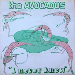 Image for 'The Avocados'