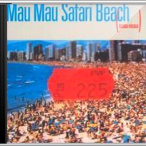 Safari Beach