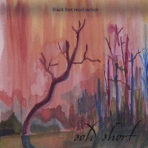 Black Box Recollection