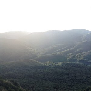 Green Cradle
