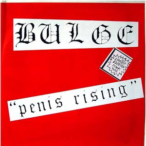PENIS RISING