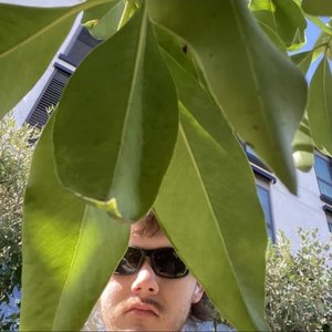 Avatar für Pelleklund