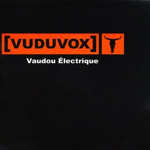 Vaudou Électrique