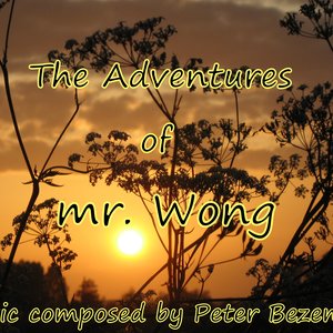 The Adventures of mr. Wong