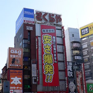 Avatar di さくらや