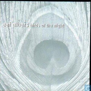 Birds Of The Night