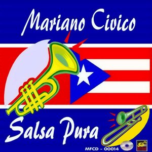 Salsa Pura