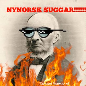 nYNORSK suggAR