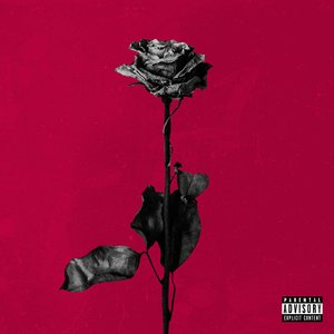 Deadroses [Explicit]