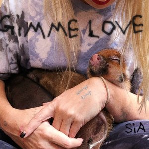 Gimme Love - Single