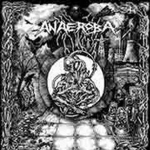 Over The Walls And Borders