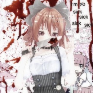 lost my ds stylus