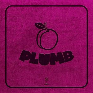 Plumb