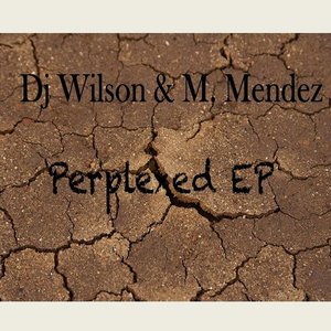 Perplexed EP