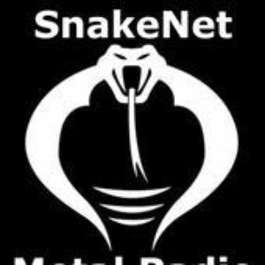 SnakeNet Metal Radio 的头像