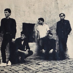 Avatar for Moloko +