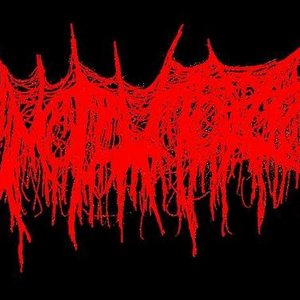 Mutilatorio 的头像