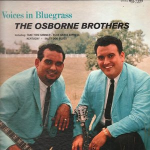 Voices in bluegrass