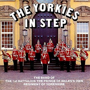 The Yorkies in Step