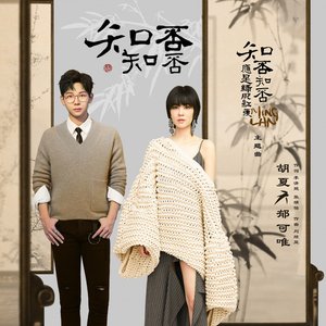 知否知否 ("知否知否应是绿肥红瘦" 电视剧主题曲)