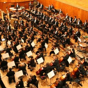Radio-Sinfonieorchester Stuttgart 的头像