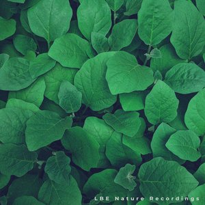 Аватар для LBE Nature Recordings