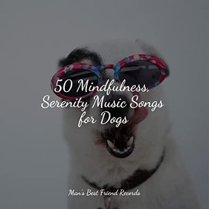 50 Mindfulness, Serenity Music Songs for Dogs