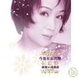 今夜星辰閃爍-璀璨30最精選