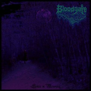 Solace In Mourning