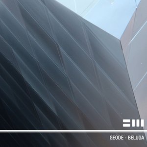 Beluga