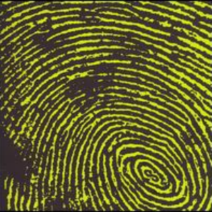 Hoobastank - Born to Lead Lyrics - Zortam Music