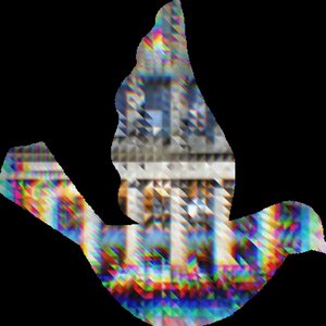 “Oiseaux brillans du Brésil”的封面