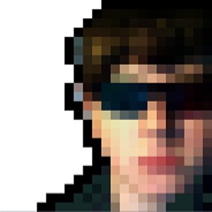 Avatar for Dark Pivot