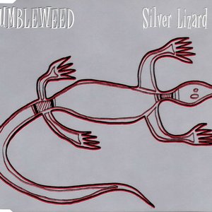 Silver Lizard