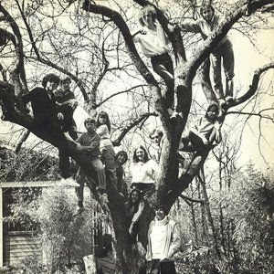 Lotte Kærså, Græsrødderne 的头像