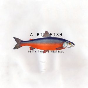 A Birdfish