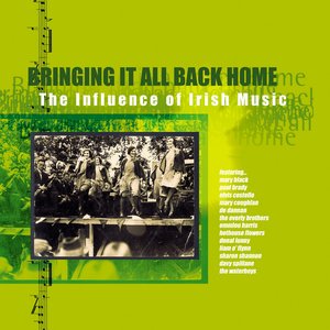 Bringing It All Back Home - The Influence of Irish Music