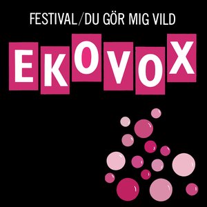 Festival