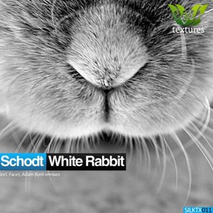 White Rabbit