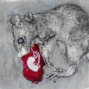 Cal Anderson/Alleged Allegations